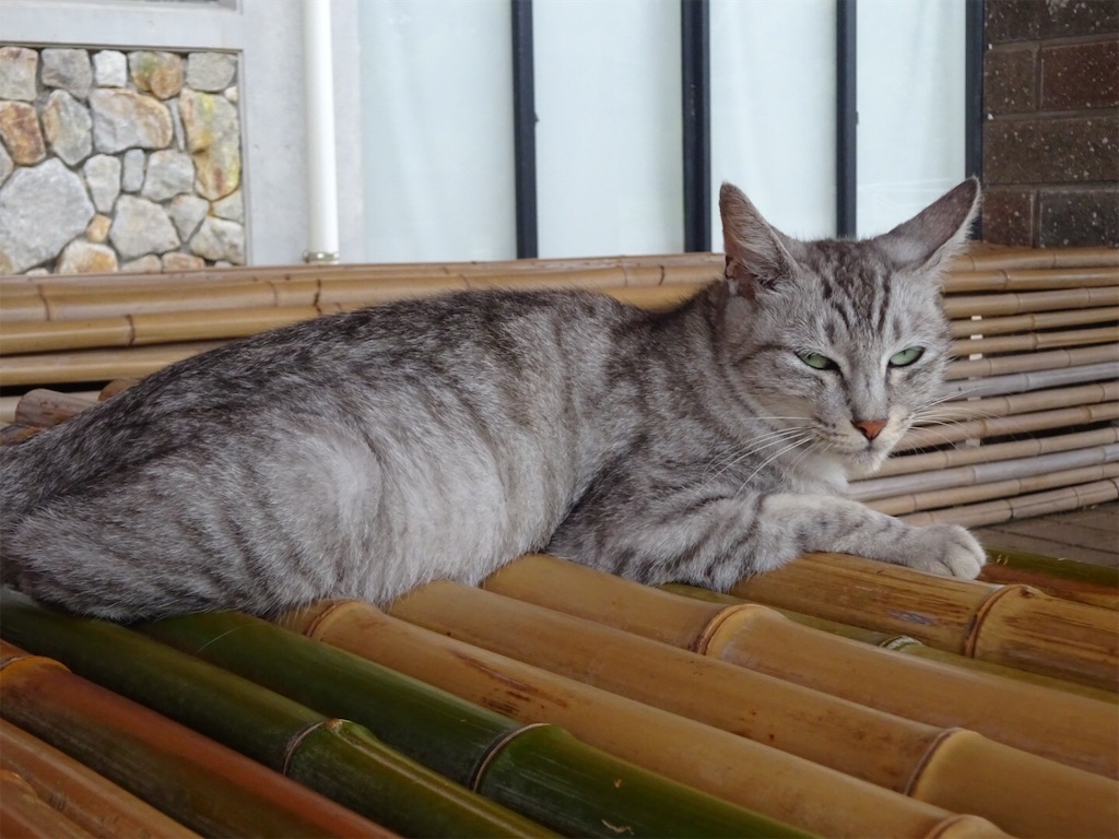 f:id:kannonta:20190831201541j:image