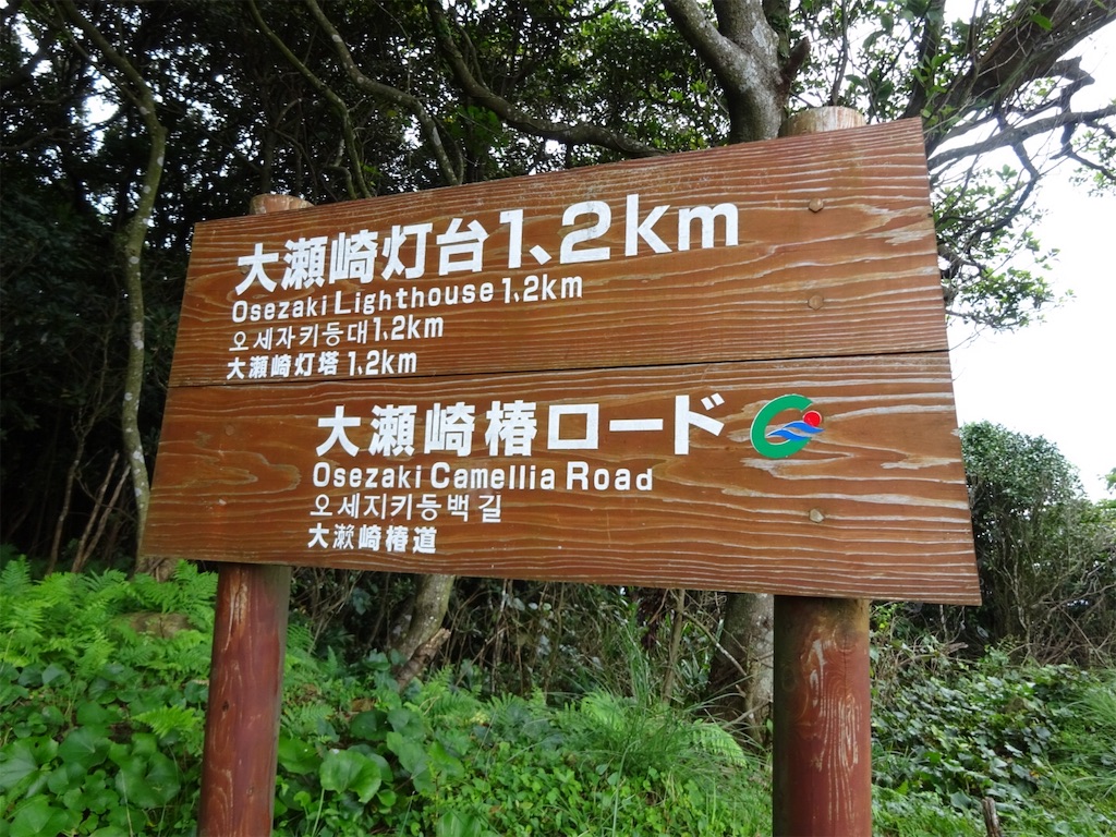 f:id:kannonta:20190831211738j:image