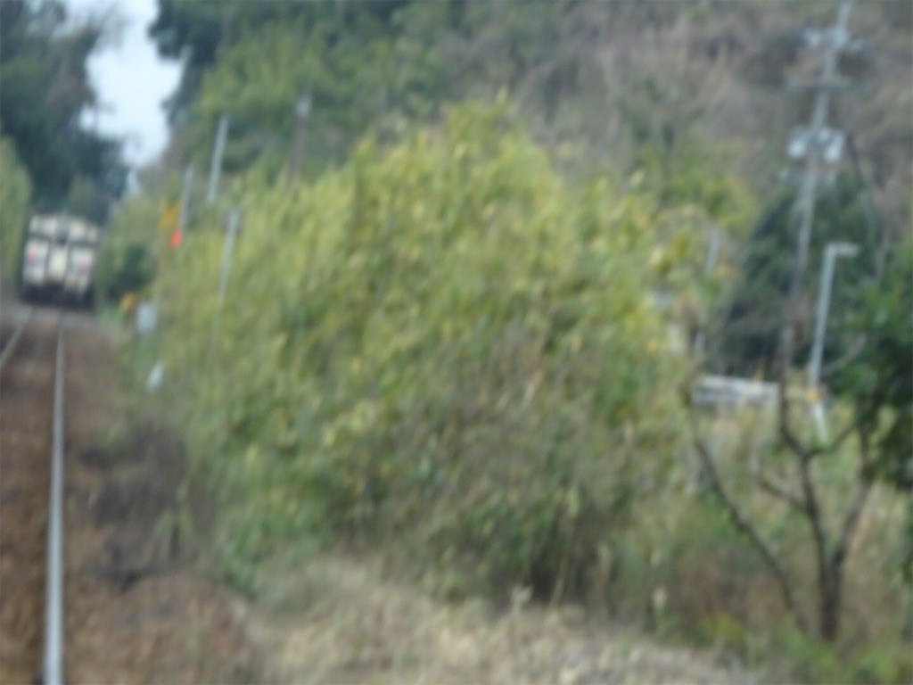 f:id:kannonta:20200120172201j:image f:id:kannonta:20200120172201j:image
