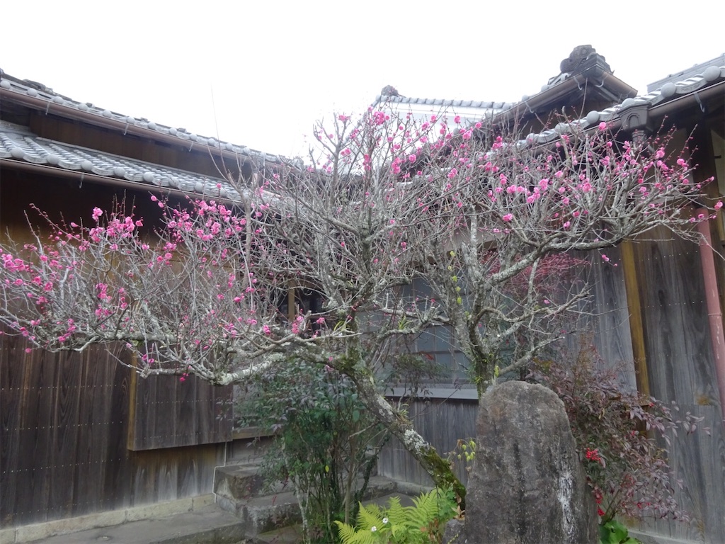 f:id:kannonta:20200120180003j:image f:id:kannonta:20200120180003j:image