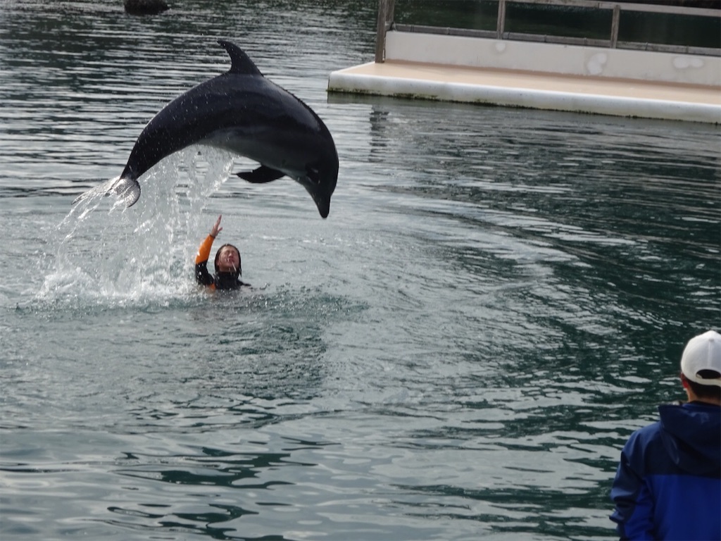 f:id:kannonta:20200124173734j:image