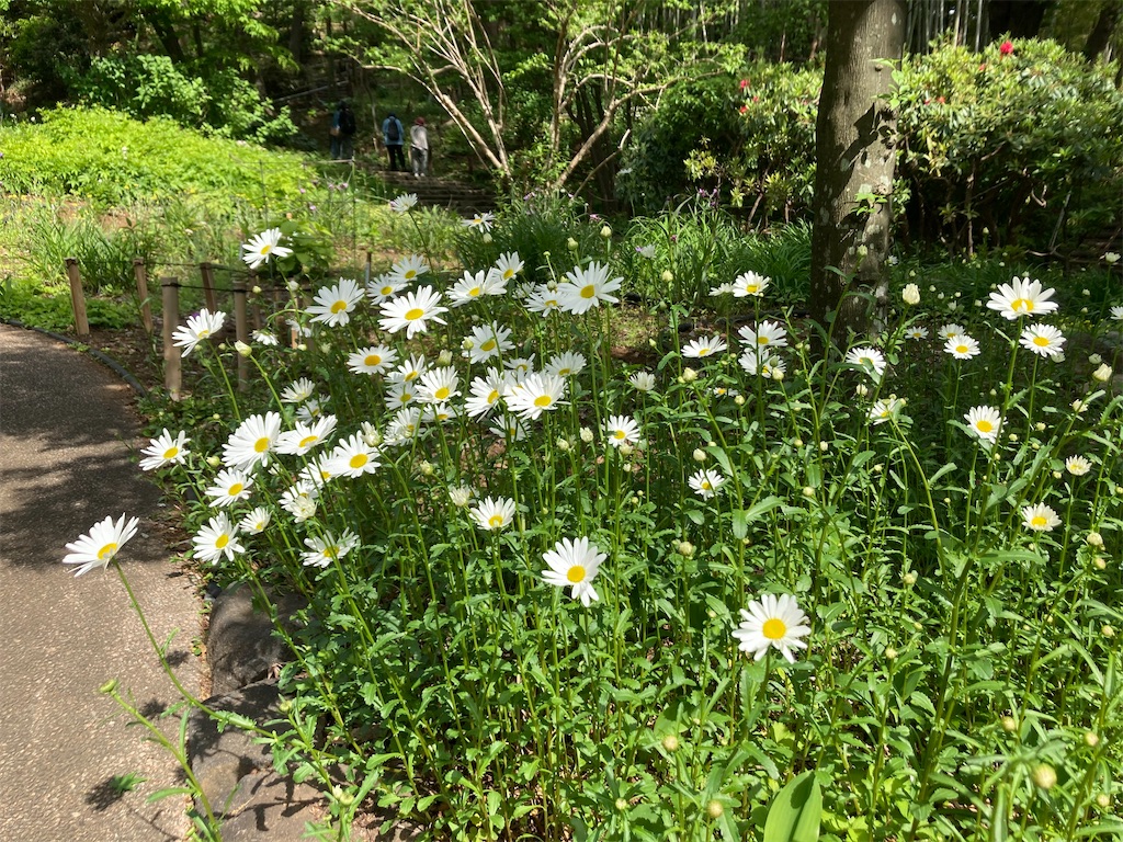 f:id:kannonta:20210424180933j:image