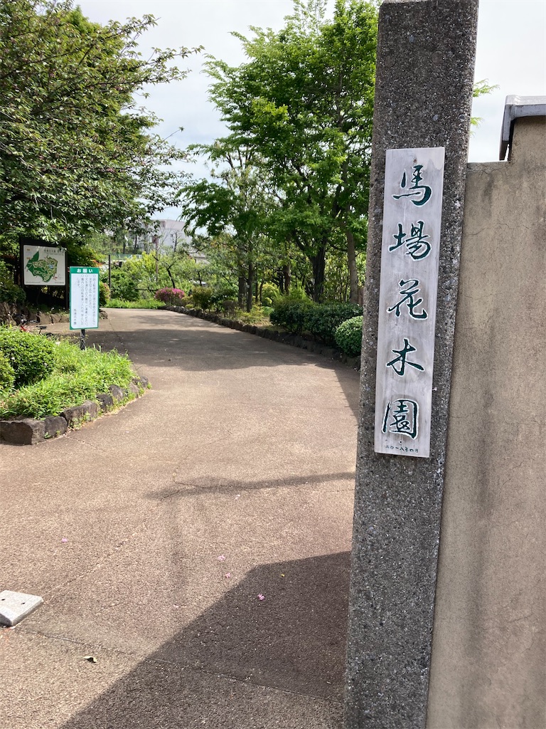 f:id:kannonta:20210424181443j:image