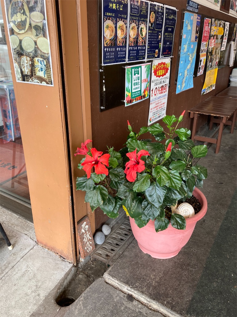 f:id:kannonta:20210429165621j:image f:id:kannonta:20210429165621j:image