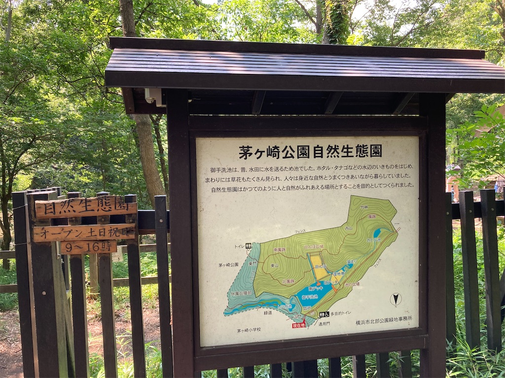 f:id:kannonta:20210717170535j:image