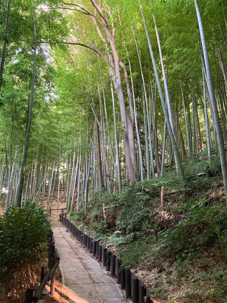 f:id:kannonta:20210731134442j:image