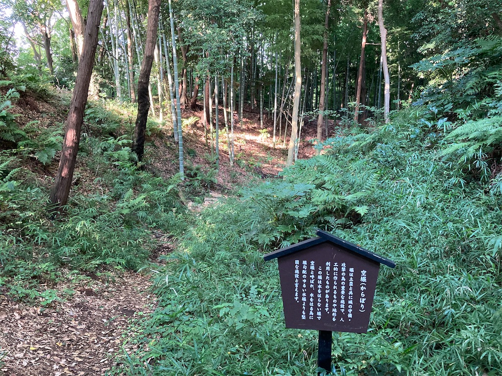f:id:kannonta:20210731134600j:image