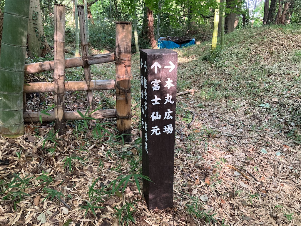 f:id:kannonta:20210731140525j:image