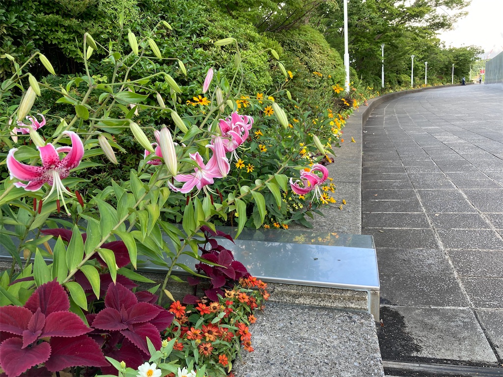 f:id:kannonta:20210731143254j:image