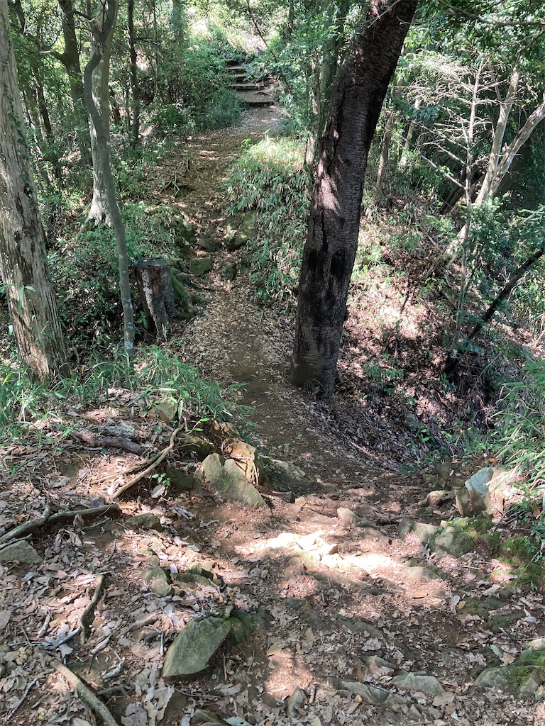 f:id:kannonta:20210923184214j:image