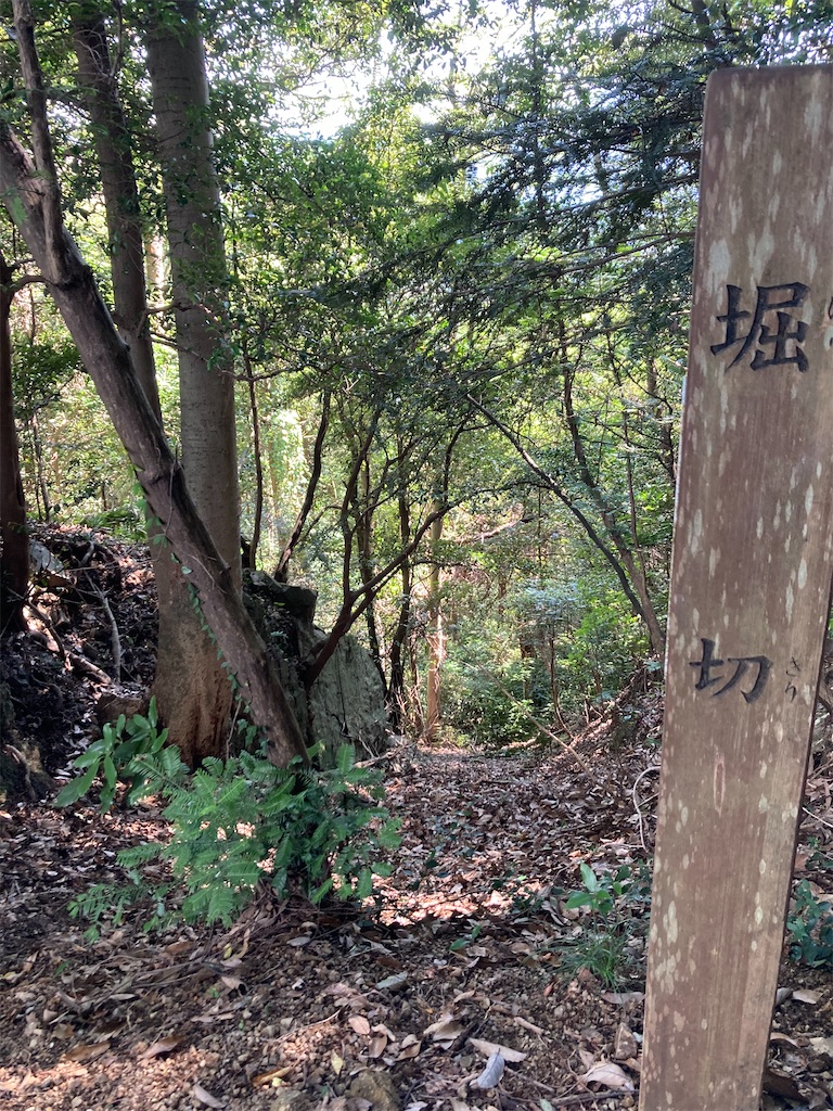 f:id:kannonta:20210923190544j:image