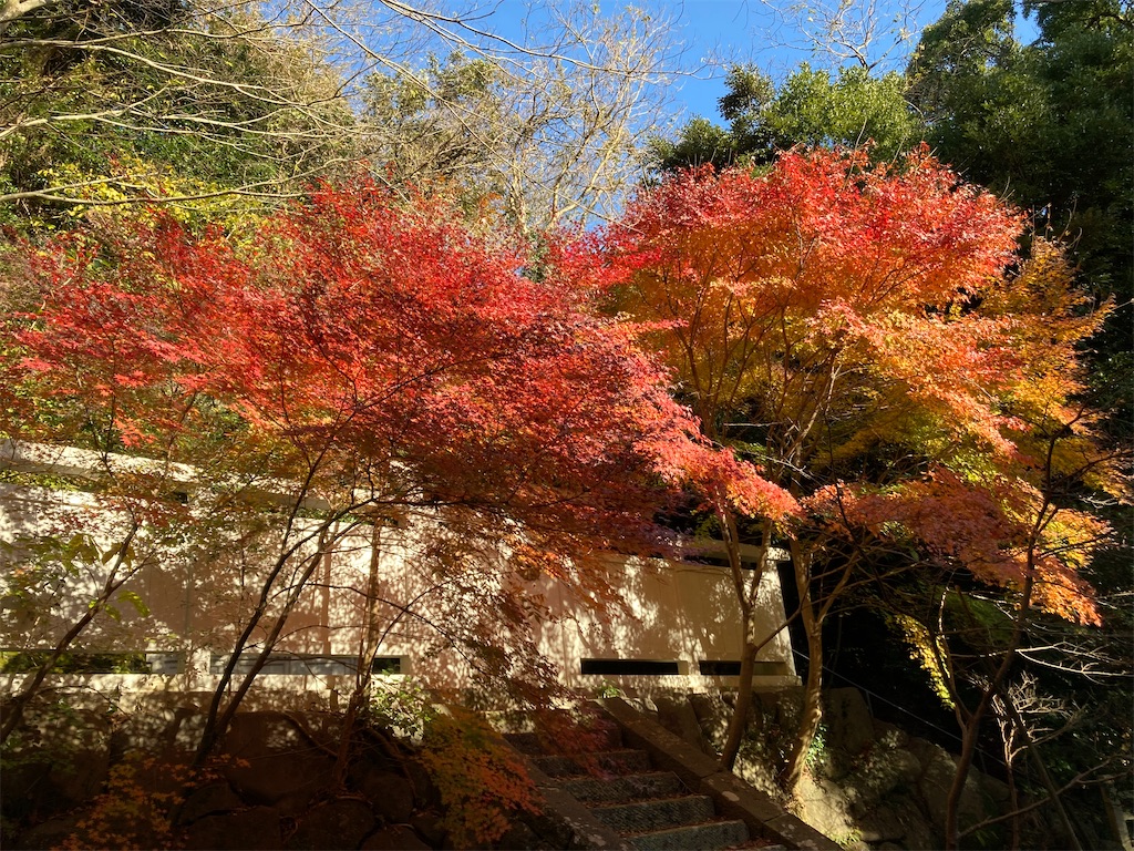 f:id:kannonta:20211211200547j:image