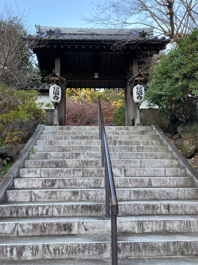 f:id:kannonta:20211211201810j:image