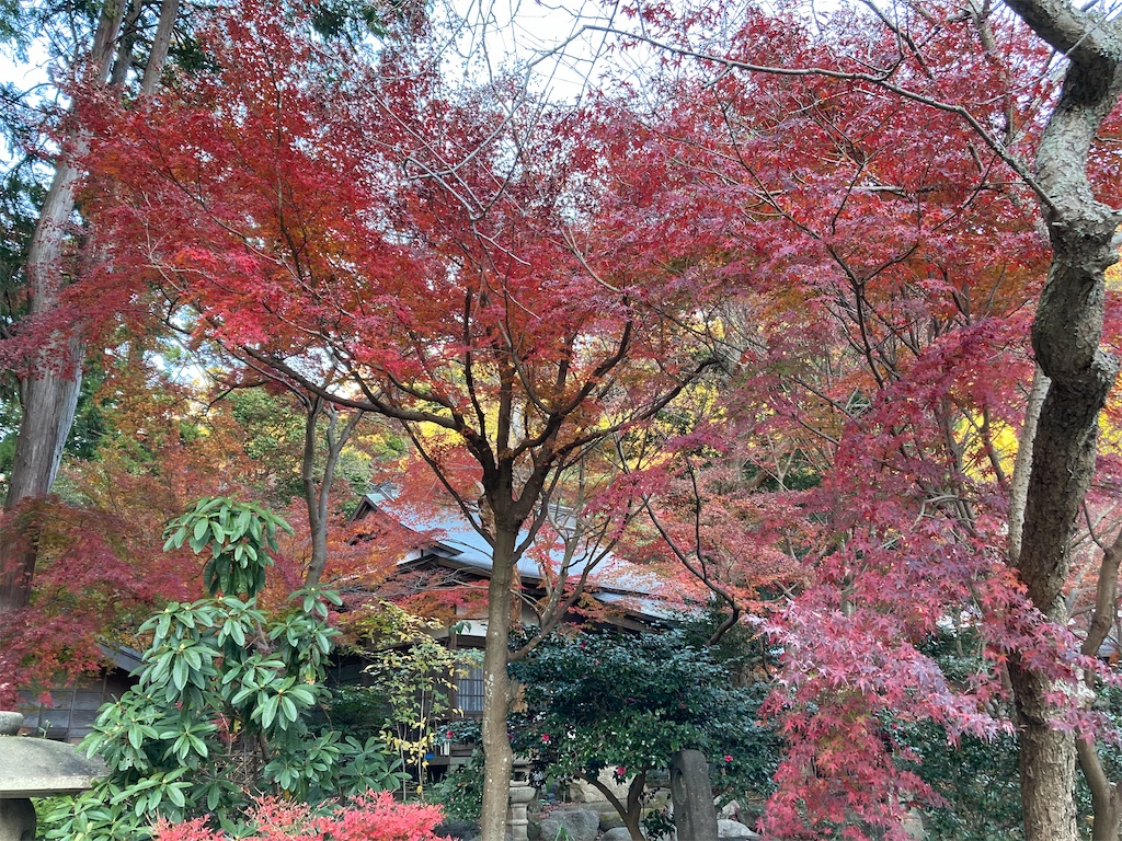 f:id:kannonta:20211211202518j:image
