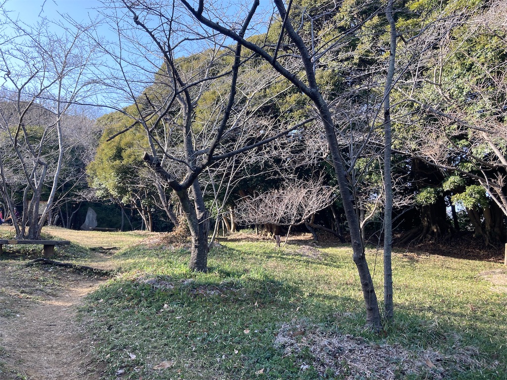 f:id:kannonta:20220305214107j:image