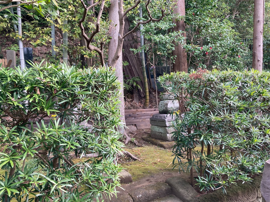 f:id:kannonta:20220321141207j:image