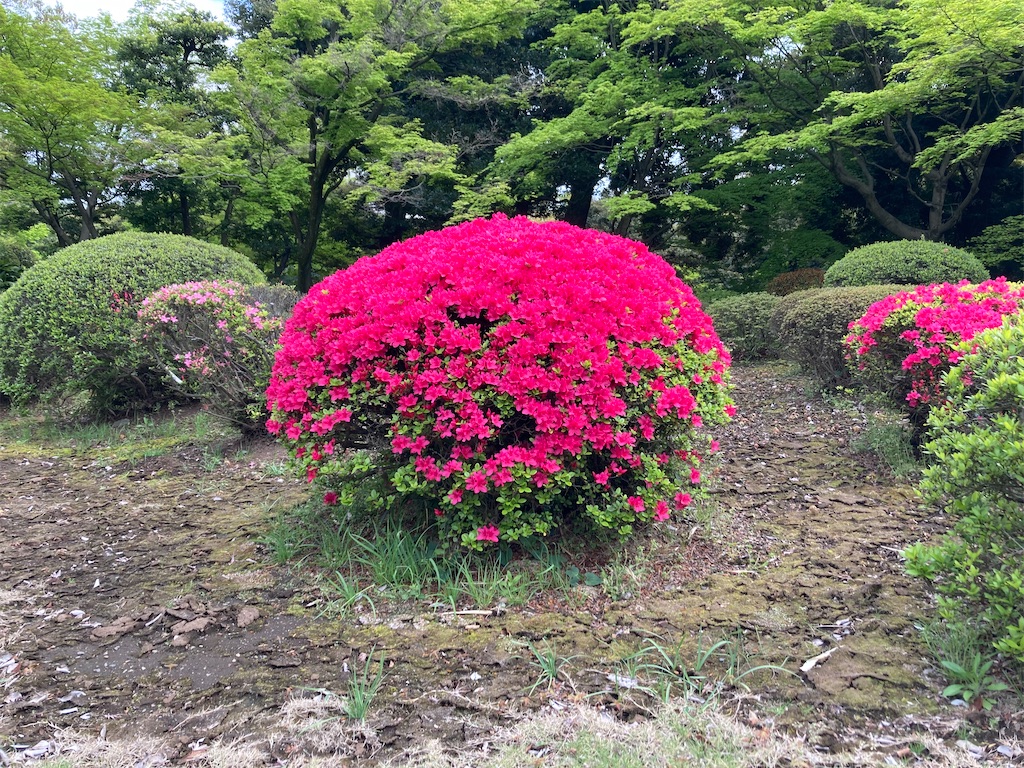 f:id:kannonta:20220417185046j:image