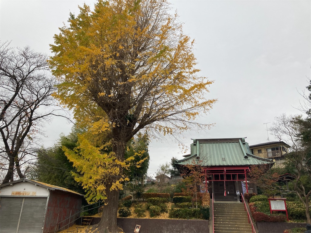 f:id:kannonta:20221205204110j:image