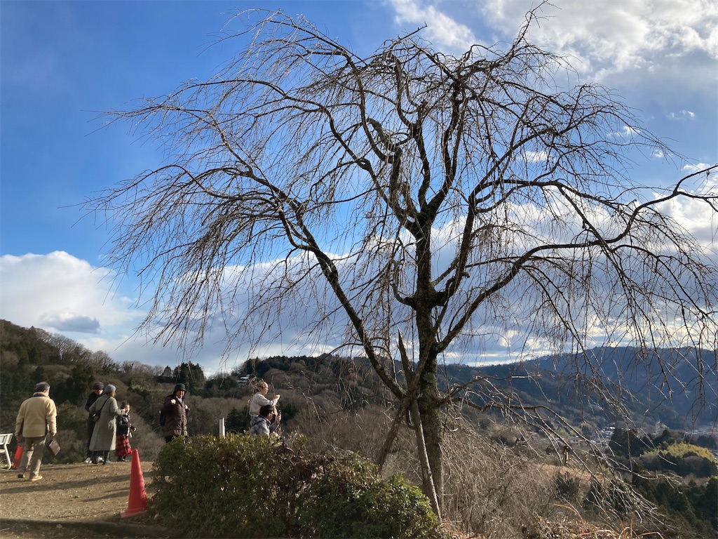 f:id:kannonta:20230128205059j:image