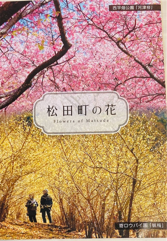 f:id:kannonta:20230128211154j:image