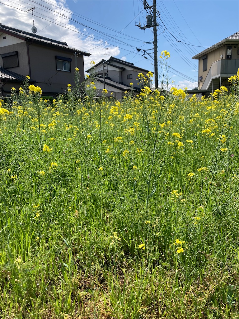 f:id:kannonta:20230416173228j:image
