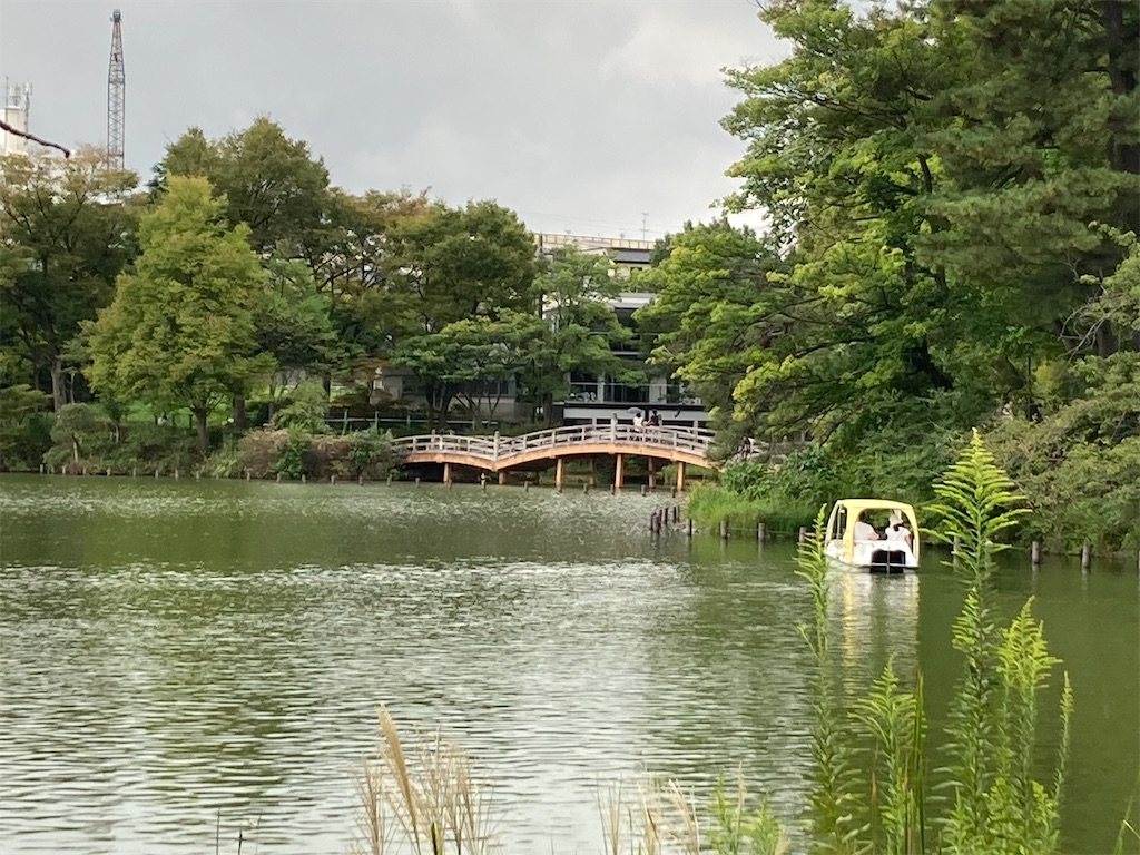 f:id:kannonta:20230930192211j:image
