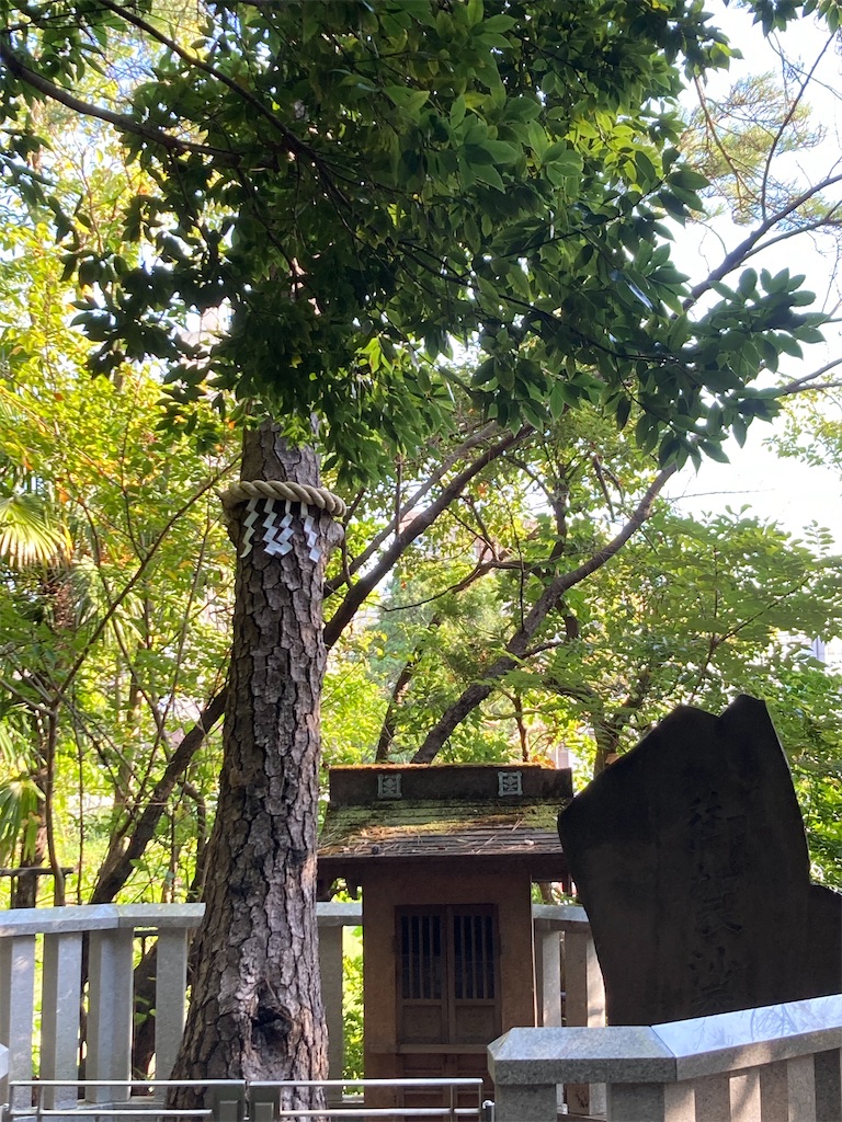 f:id:kannonta:20230930204955j:image