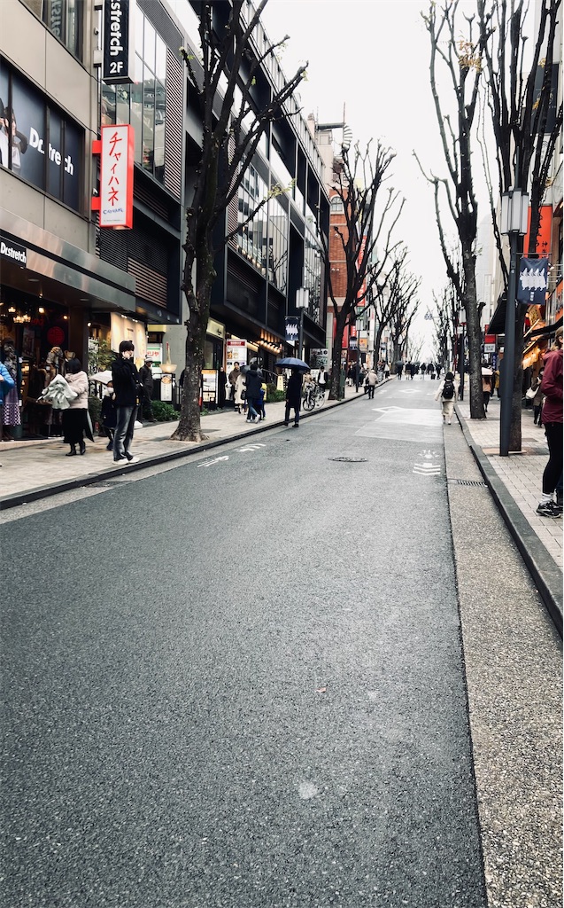 f:id:kannonta:20231126175123j:image