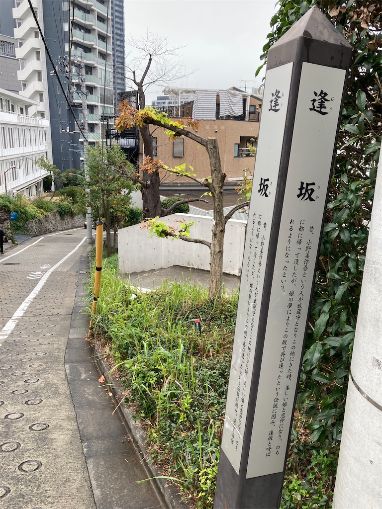 f:id:kannonta:20231126184845j:image