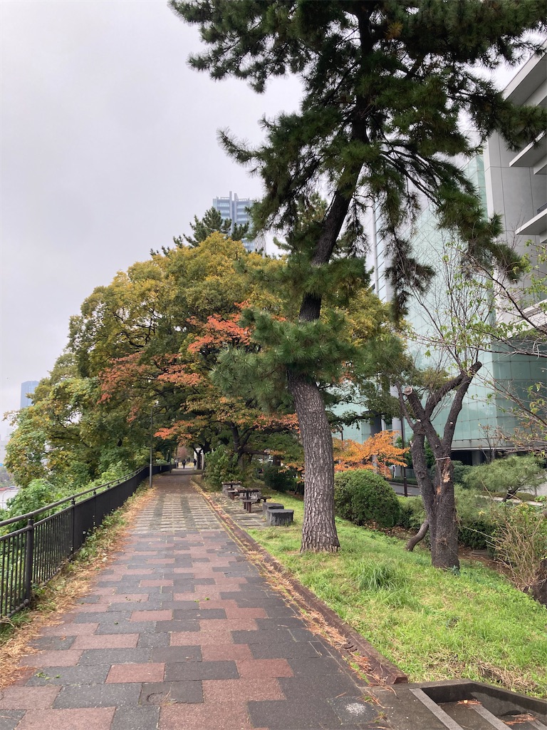 f:id:kannonta:20231126184856j:image