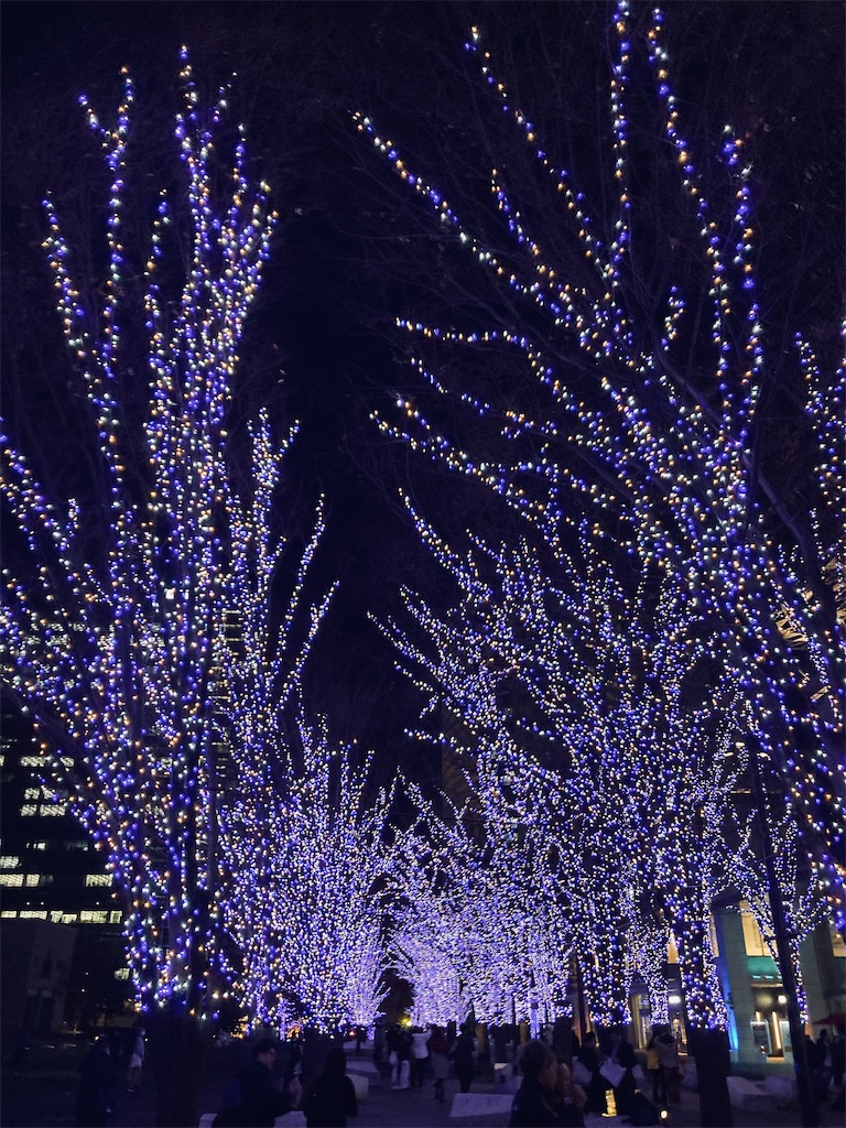 f:id:kannonta:20231216175036j:image