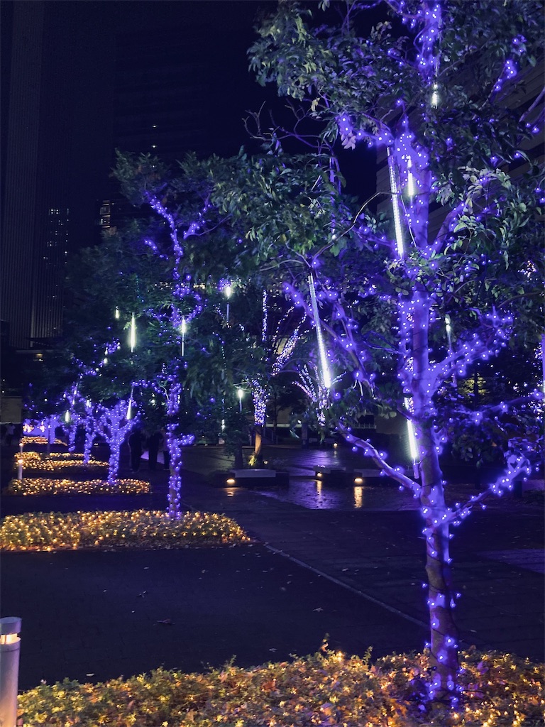 f:id:kannonta:20231216175110j:image