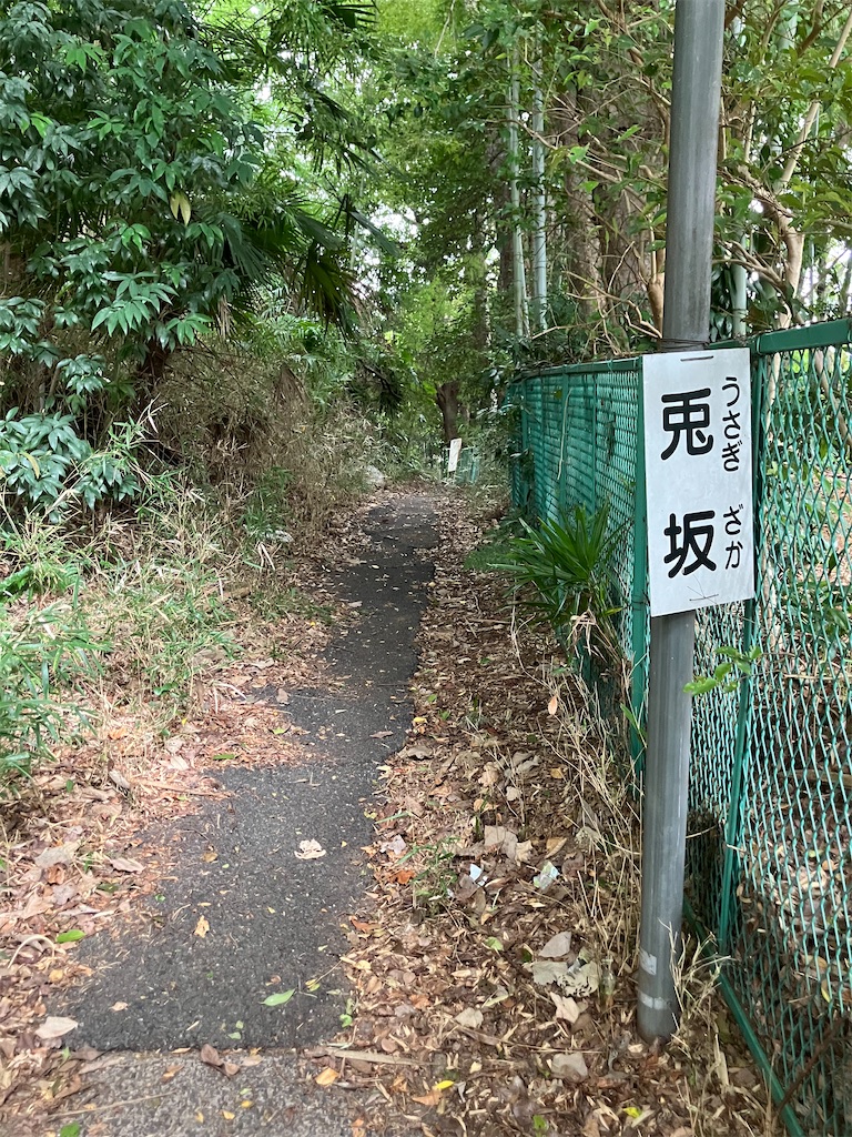 f:id:kannonta:20240929184750j:image