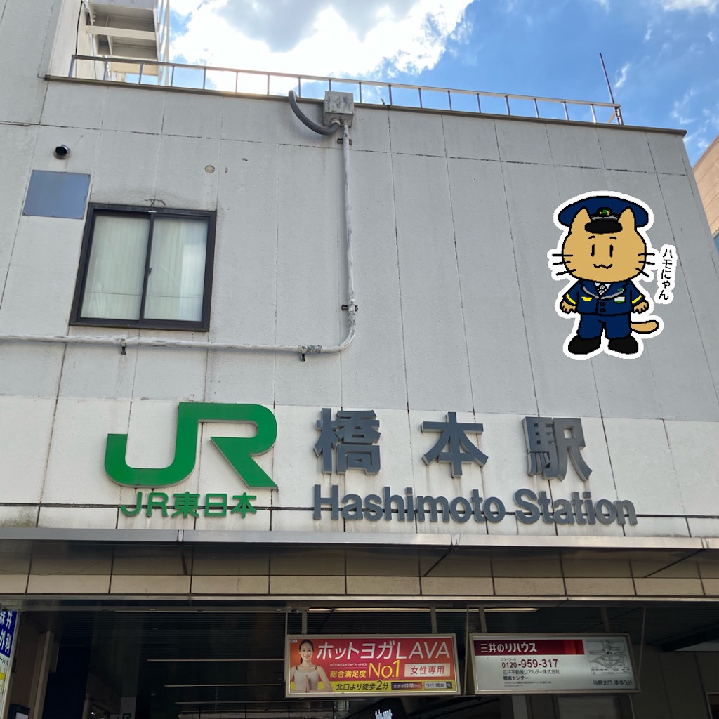 f:id:kannonta:20241014183224j:image