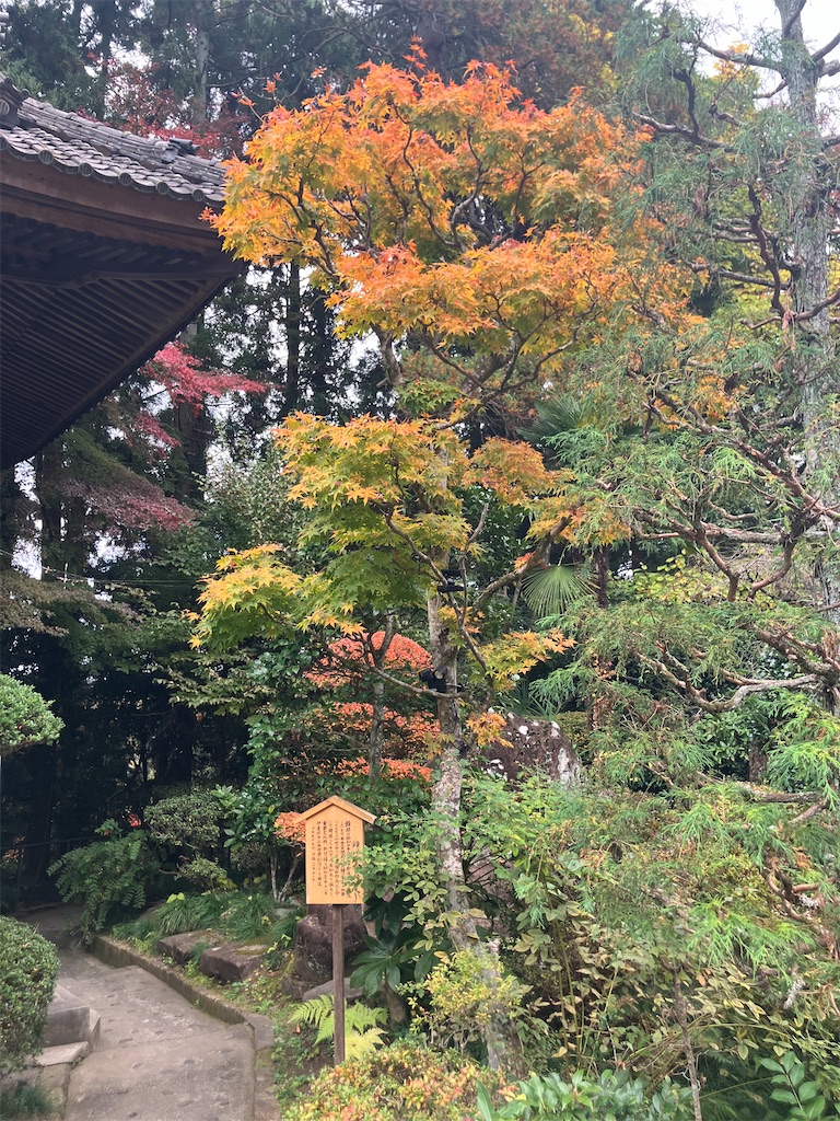 f:id:kannonta:20241117130302j:image