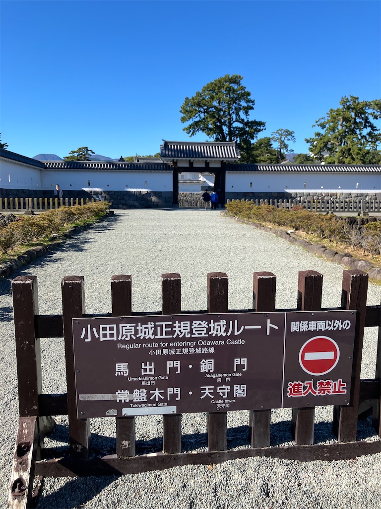 f:id:kannonta:20241130170756j:image