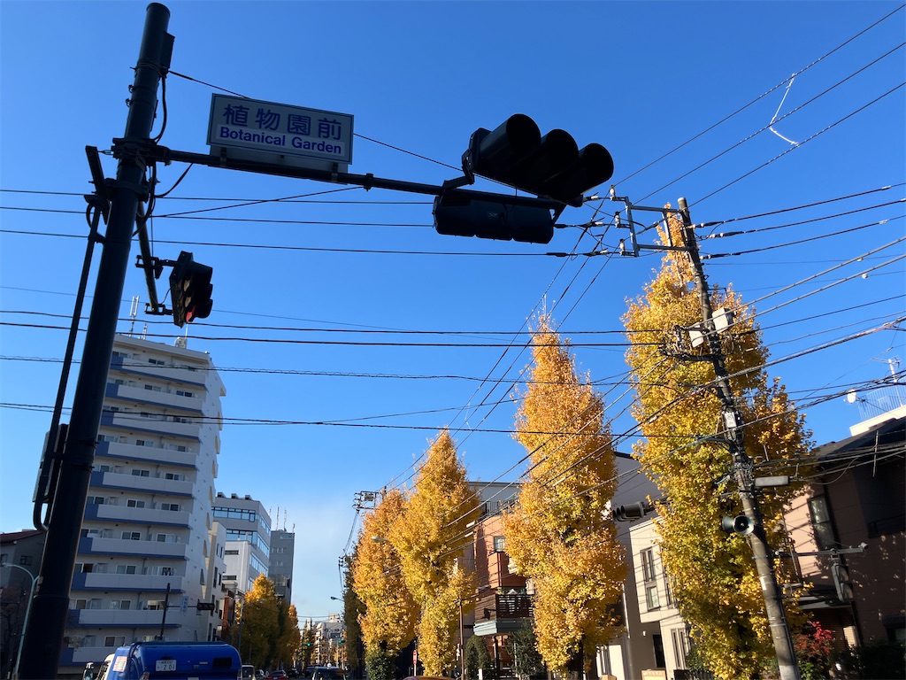 f:id:kannonta:20241207214957j:image