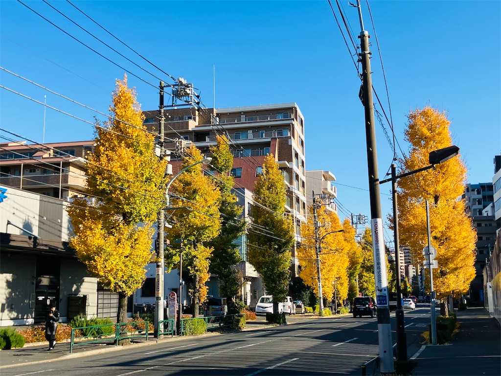 f:id:kannonta:20241207215111j:image