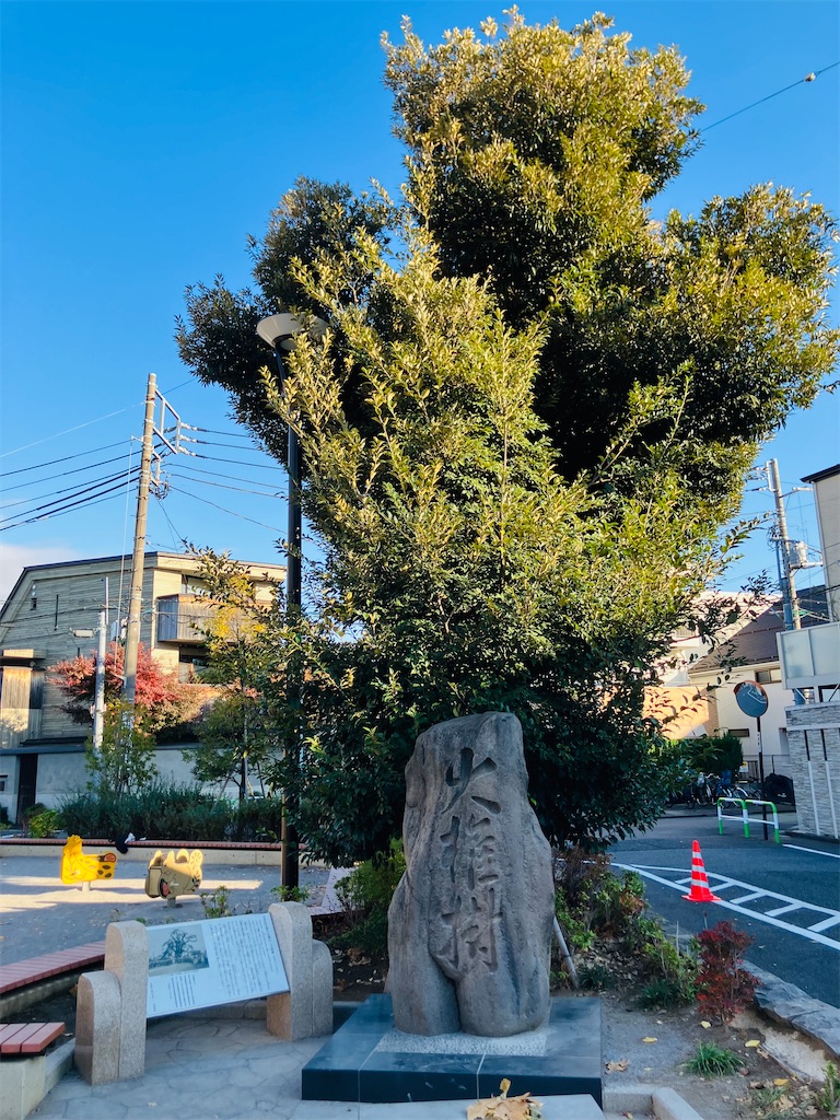 f:id:kannonta:20241207220024j:image