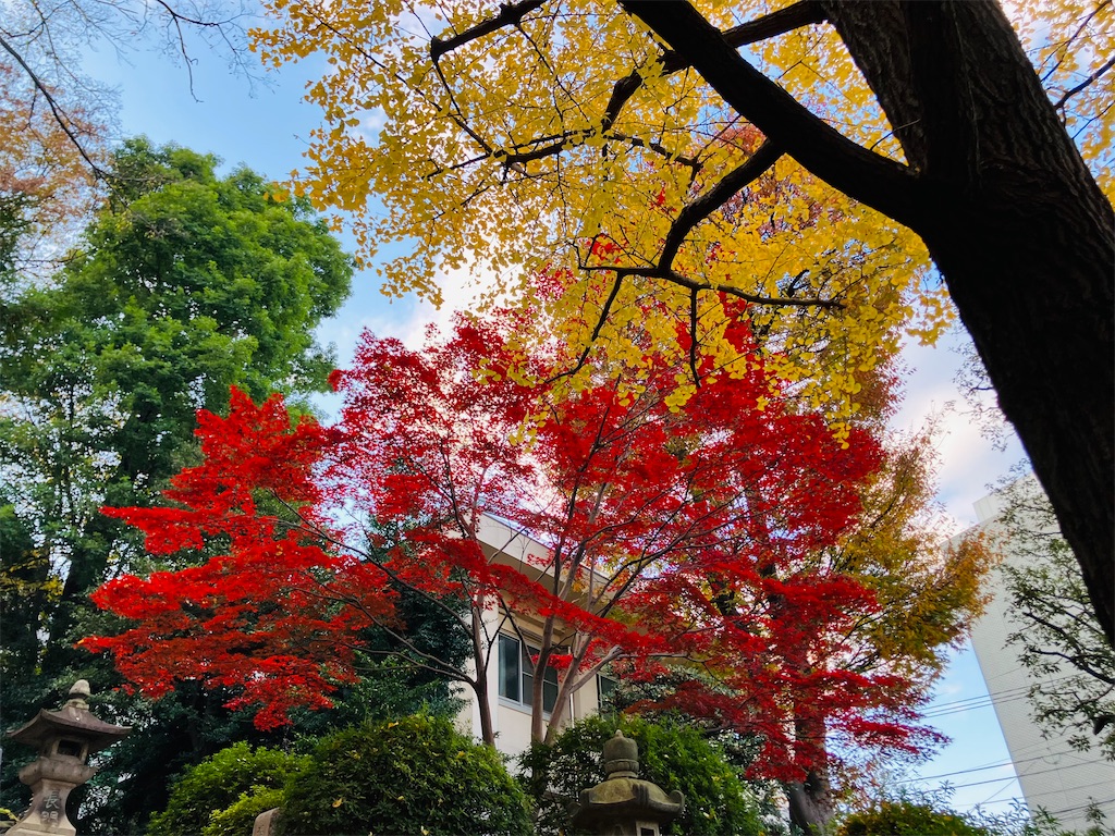 f:id:kannonta:20241207222813j:image