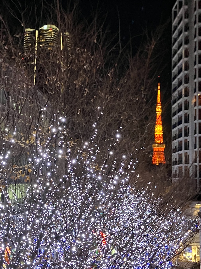 f:id:kannonta:20241221231836j:image