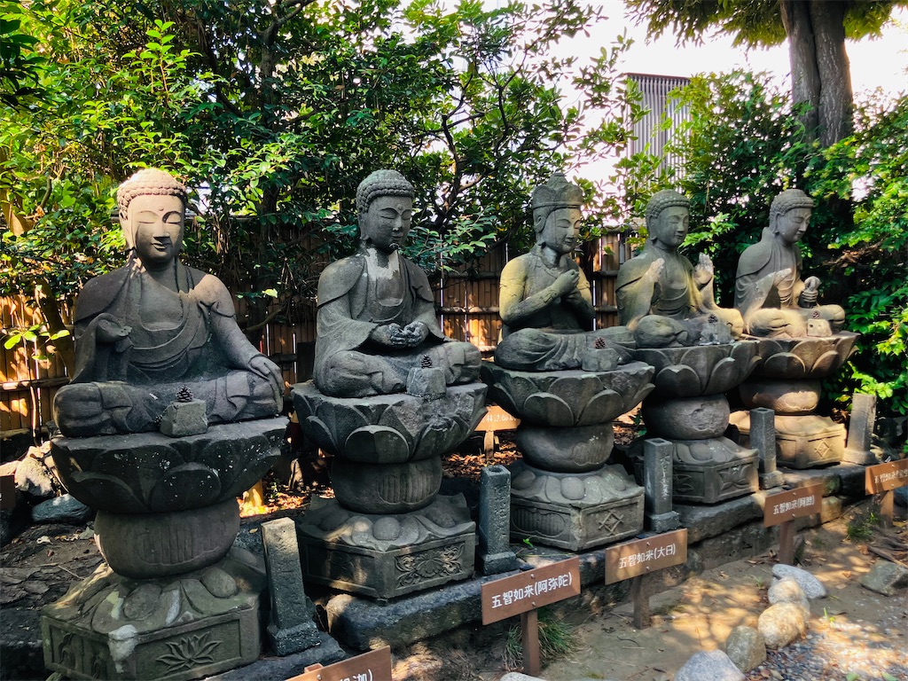 f:id:kannonta:20250824183205j:image