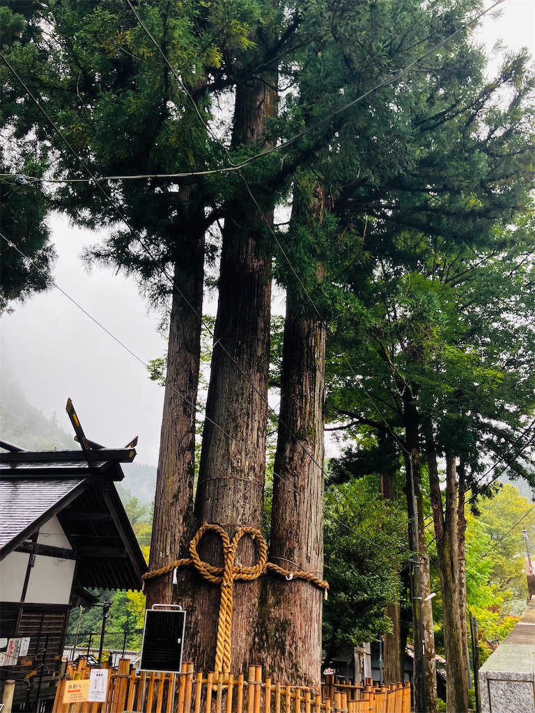 f:id:kannonta:20251011221719j:image