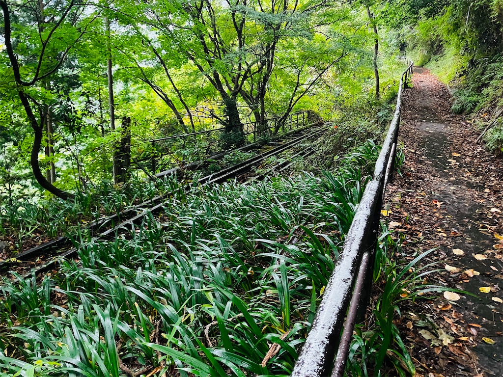 f:id:kannonta:20251011223748j:image