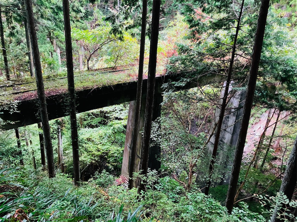 f:id:kannonta:20251011223754j:image