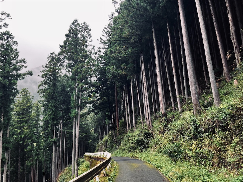 f:id:kannonta:20251011224722j:image