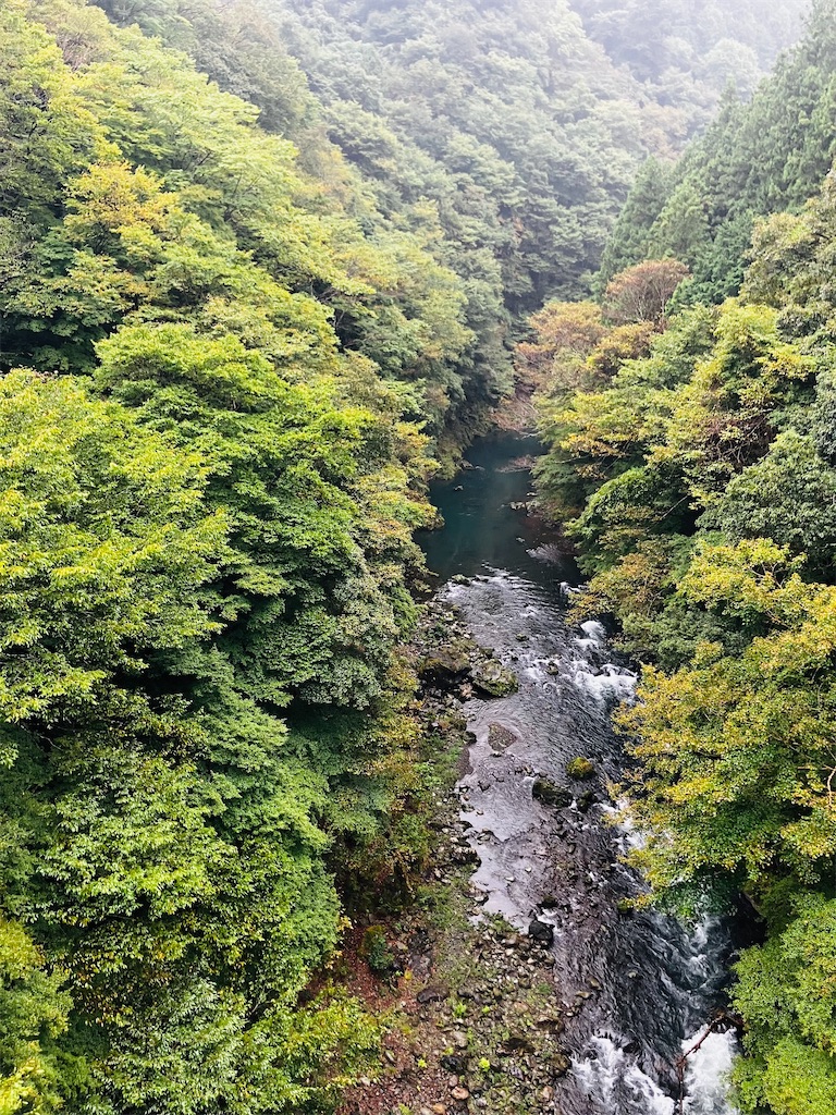 f:id:kannonta:20251011225051j:image