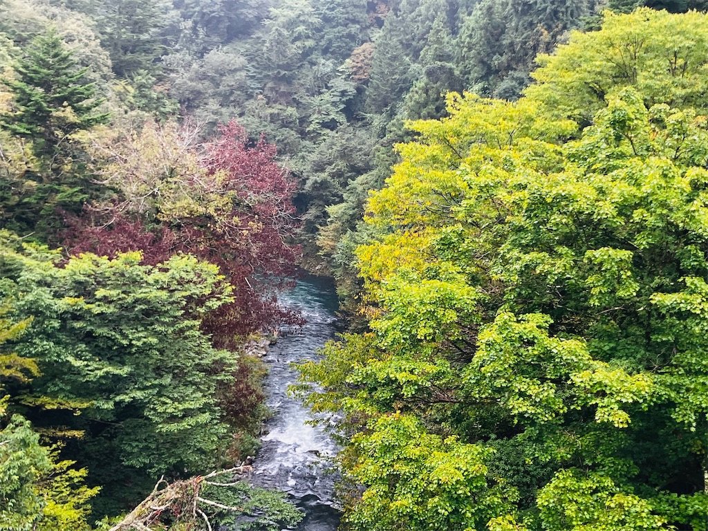 f:id:kannonta:20251011225055j:image