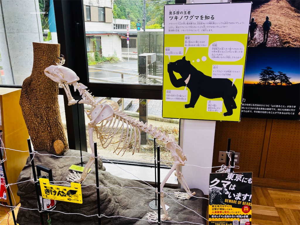 f:id:kannonta:20251011230342j:image