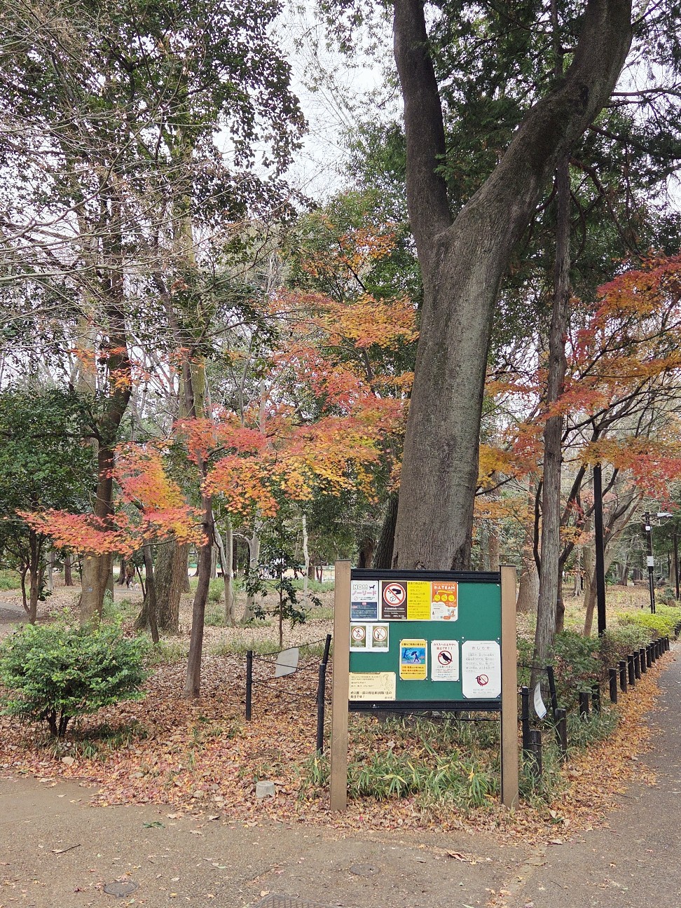 f:id:kannonta:20251227203349j:image